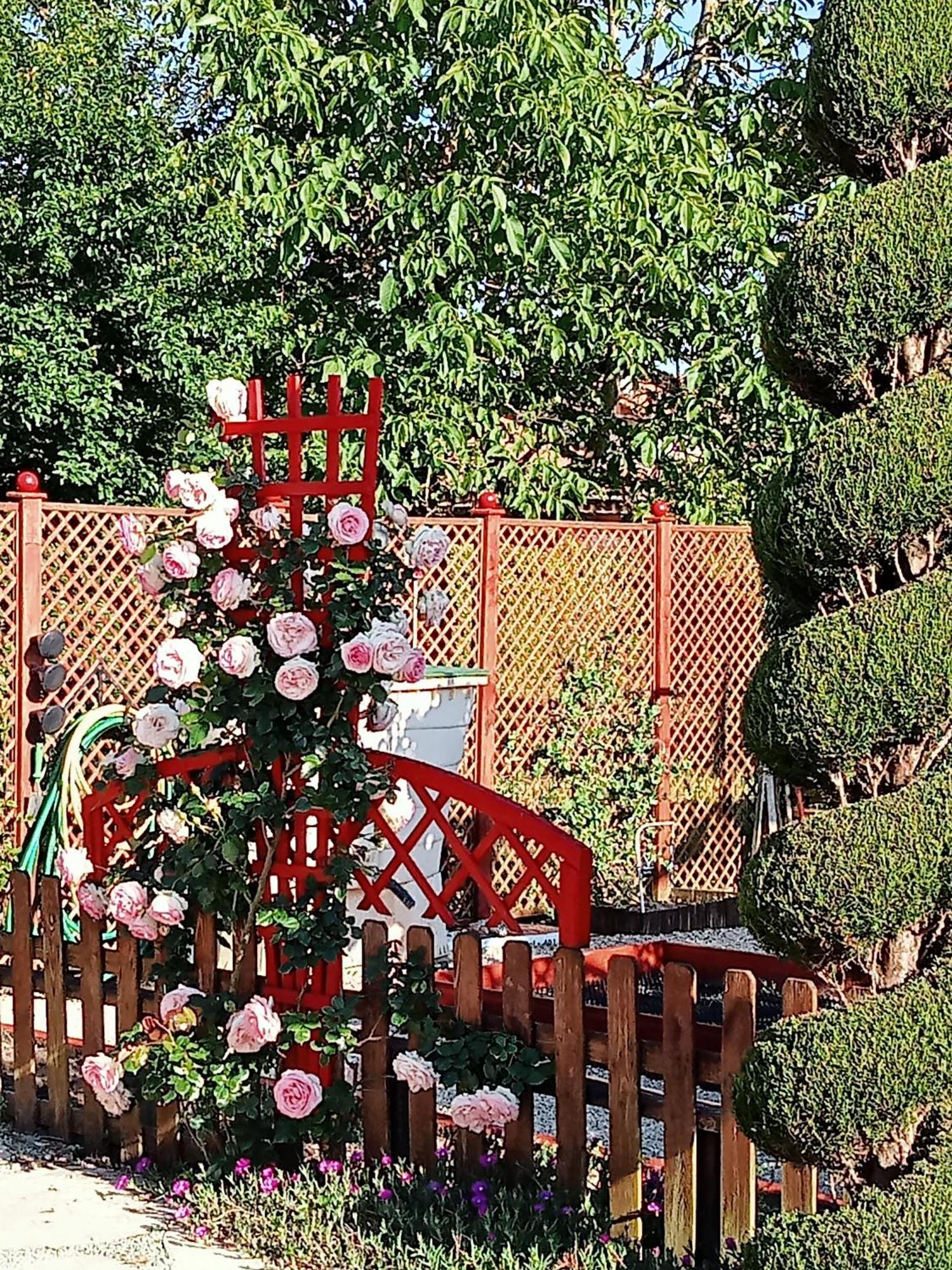 Une Pause Quelque Part Au Jardin Des Erables Et Des Niwakis Saint-Medard-de-Guizieres Экстерьер фото